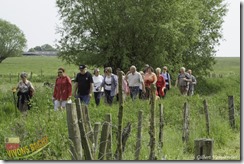 1ère marche du muguet-IMG_4371-04052014 (Copier)