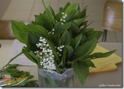 1ère marche du muguet-IMG_4408-04052014 (Copier)