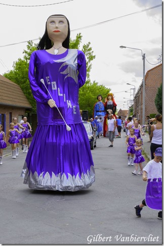 Carnaval-IMG_7318-22 juin 2014