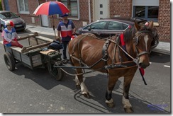 Défilé carnavalesque  - 253A3176 - 26 juin 2016