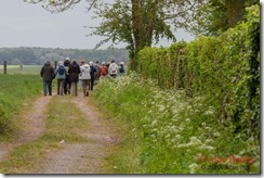 Marche du muguet - IMG_4149 - 01 mai 2017