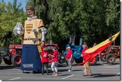 Défilé Sainghin en Mélantois - 253A6243 - 10 juin 2017