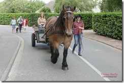 Carnaval - 253A7044 - 25 juin 2017